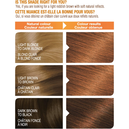 Garnier - Belle Color Permanent Hair Dye