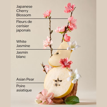 Bath & Body Works – Japanese Cherry Blossom Fine Fragrance Mist, 236 mL Bath & Body Works