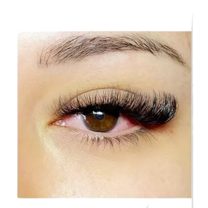 10 Pairs of Handmade Natural Style False Eyelashes