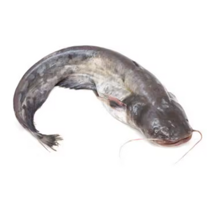 Frozen Catfish, 800/1300g